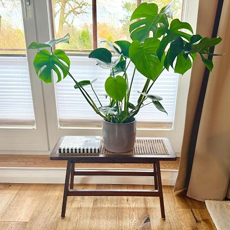 Happy Place Mit Sonnen-Balkon Und Stellplatz Nur 400 M Zum Strand 샬베우츠 외부 사진